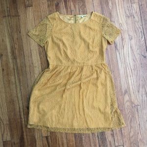 Gianni Bini Lace Dress, L